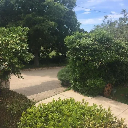 House For Rent Anka 2* Zadar